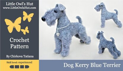 103 Kerry Blue Terrier dog