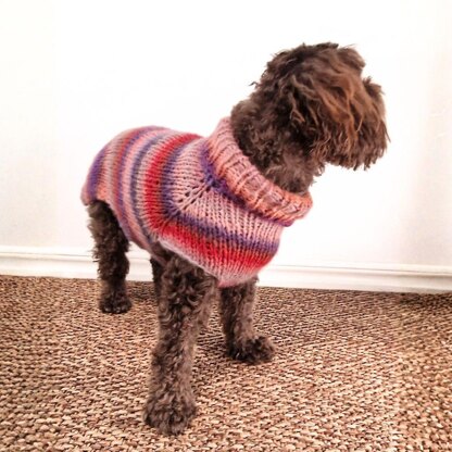Easy-Peasy Pup Knit