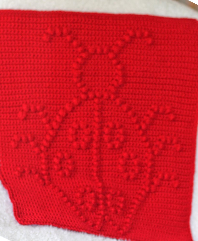 Ladybug discount baby blanket