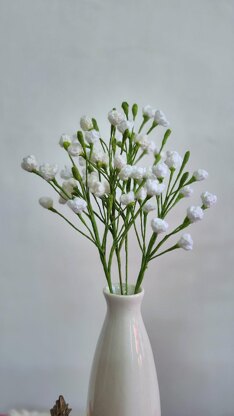 Baby's breath gypsophila