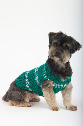 The Sports Nut Dog Sweater in Lion Brand Hometown USA - L32126