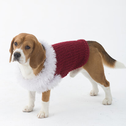 Celebrator Dog Sweater in Lion Brand Wool Ease Thick & Quick - L30257