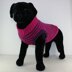 Chunky Stripe Dog Coat