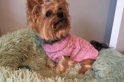 Hugs and Kisses Dog Sweater