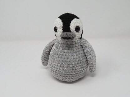 Hatching Penguin Chick