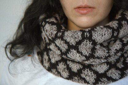 Woven Rings Cowl