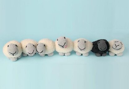 Row of sheep