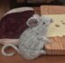 Wee Mouse Knitting Pattern