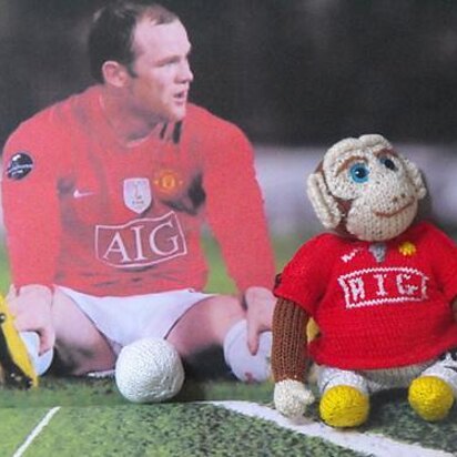WAYNE BABOONEY TOY KNITTING PATTERN - knitting pattern
