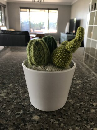 Knitted Cactus Garden