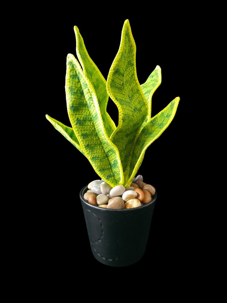 Crochet Snake plant pattern | LoveCrafts
