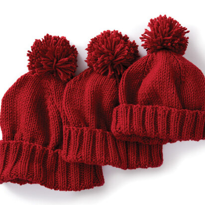 Caron Men's Basic Hat and Scarf Knit Set