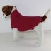 Chunky Garter Stitch Dog Coat