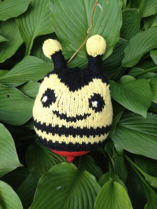 Honey Bumble & Little Lady Bug Hats