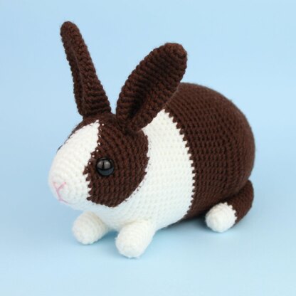 Dutch rabbit