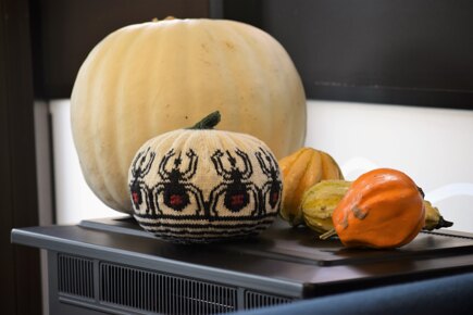 Spider Colorwork Pumpkin #4