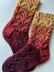 Asterales Socks