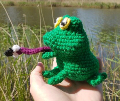 Frog with Fly from the book Who wants Happy Hops's Toothbrush?