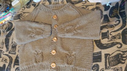 Owl Cardigan