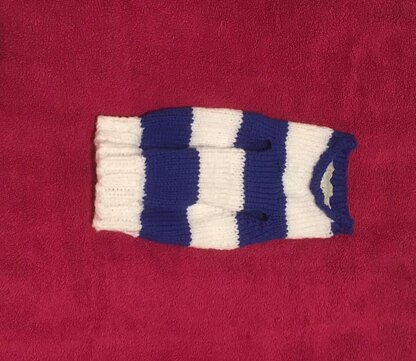 Two Colour Striped Sweater for Small Dogs