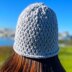 Swift Stitch Hat