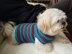 Lou Lou Sporty Dog Sweater