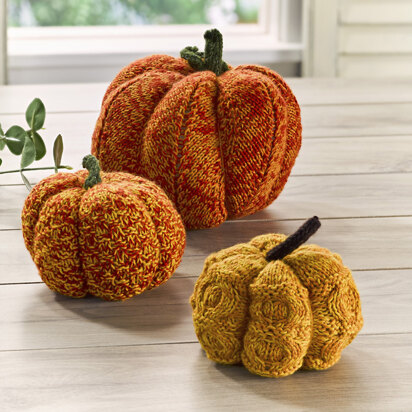 Cameron Pumpkins in Valley Yarns Huntington - 1034 - Downloadable PDF