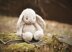 Lulu The Little Bunny: the round method