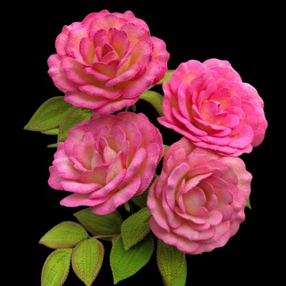 Handel Rose
