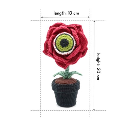 Eyeball Rose Flower in Pot