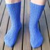 Euphyllia Lace Socks