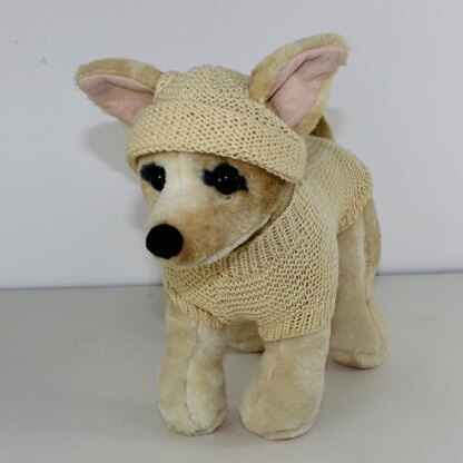 Small Dog 4 Ply Coat & Beanie Hat