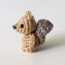Baby Squirrel in Acorn