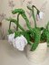 Nana's Snowdrop Flowers