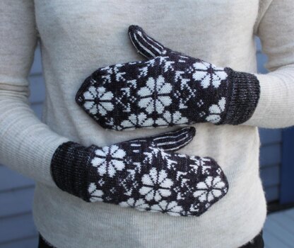 Phlox Mittens