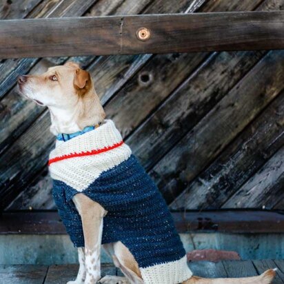 Chewy's Pet Pajamas for Small and Large Breed Dogs PDF Pattern