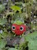 Barry the Strawberry | Amigurumi crochet pattern
