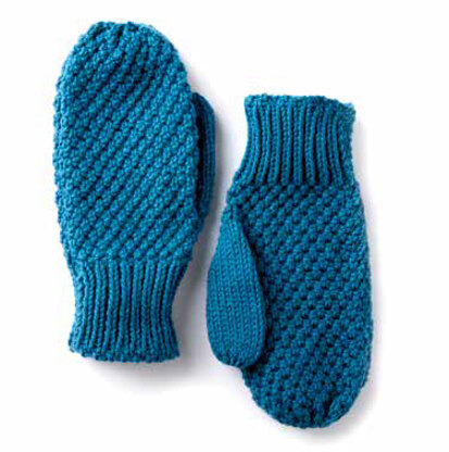 Textured Family Knit Mittens in Caron One Pound - Downloadable PDF