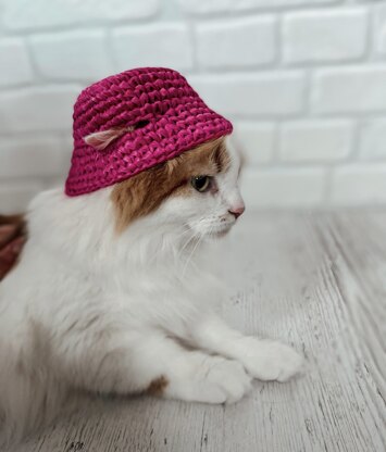 Pets bucket hat