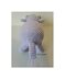 Hippopotamus - Hippo