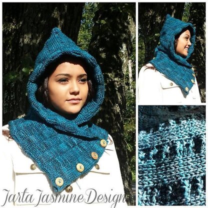 AnnMarie Hooded Cowl