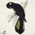 Yellow-tailed Black Cockatoo - Cross Stitch Pattern by Honeyeater Crafts