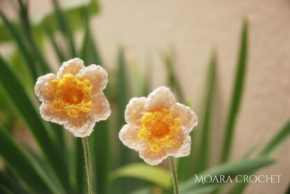 Crochet Daffodil