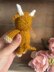 Mini Highland Cow