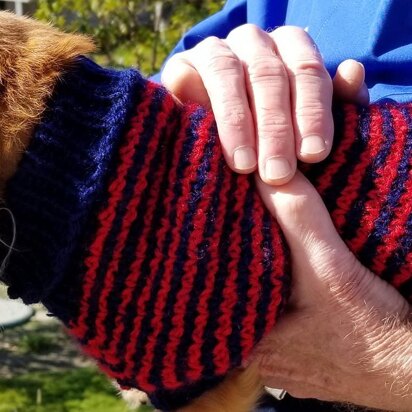 Slippy Stripey Mini-Doxie Sweater - knitting pattern