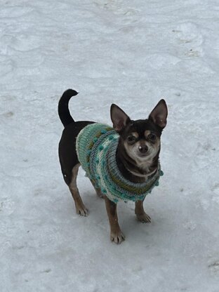 Cheer For the Elves Dog Sweater