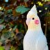 Percy the Cockatiel Plushie