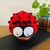 Ladybug Baby Hat