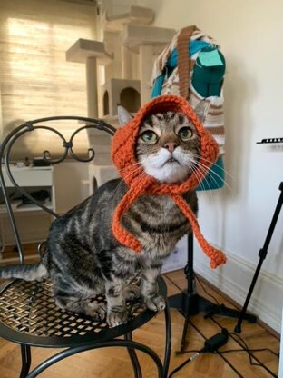 Cat Hat and Beanie Pattern