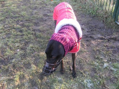 Greyhound snood